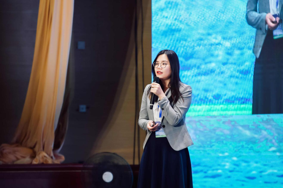 vsport(有限公司)官方网站 - 成功因您更杰出