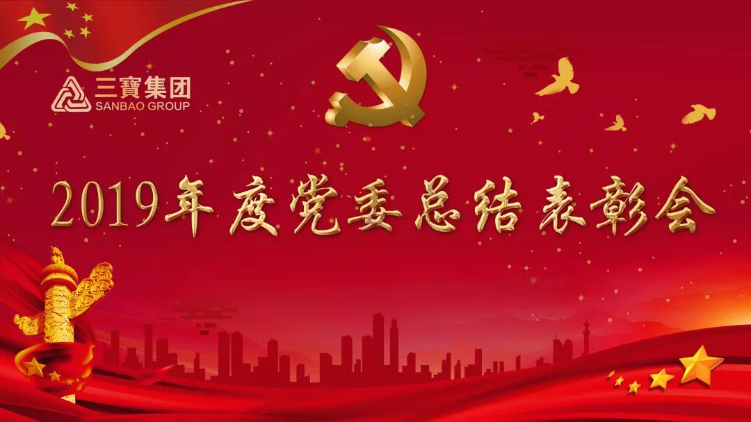 众志成城加油干，不负韶华勇向前｜VSport官网集团党委召开2019年度总结赞美会